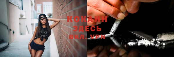 эйфоретик Белокуриха
