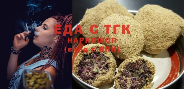 шишки Инта