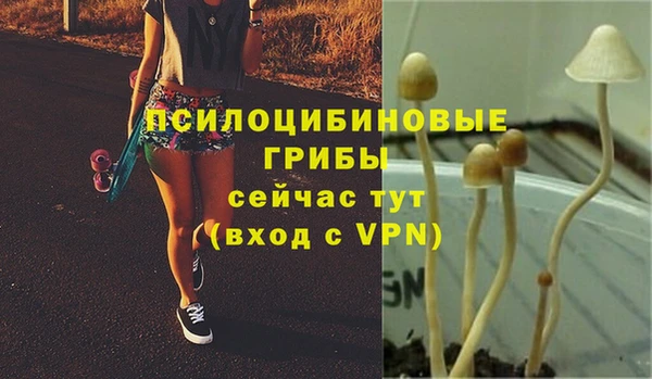 эйфоретик Белокуриха