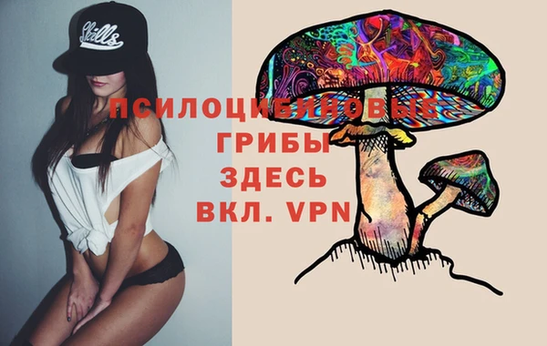 эйфоретик Белокуриха