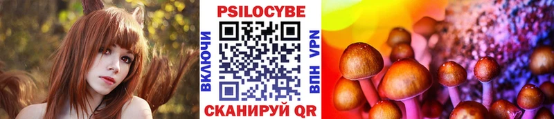 Псилоцибиновые грибы Cubensis как найти Очёр
